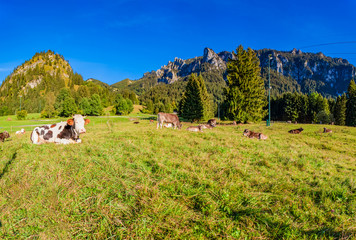 Farm in Schwangau - Bavaria - Germany