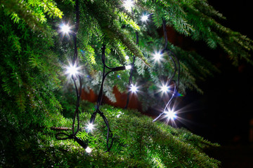 Led lights on christmas tree.