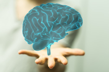 brain