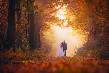 Bride and groom in colorful autumn forest