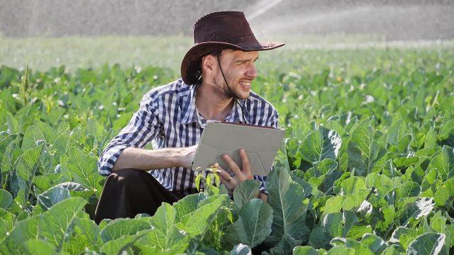 Farmer using digital tablet during monitoring his plantation.