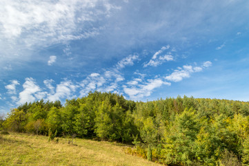Fototapeta na wymiar Green meadow and forest in front of the blue sky with clouds