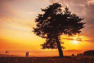 Coniferous tree and couple in love summer morning orange light
