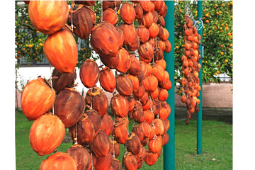Persimmon in the process of drying, national cuisine, Abkhazia