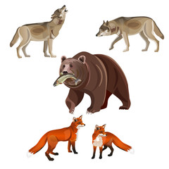 Obraz premium Predatory beasts vector