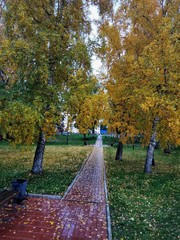 Autumn in the city square - 239376685