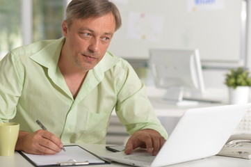 Fototapeta na wymiar Portrait of mature businessman working with laptop at home