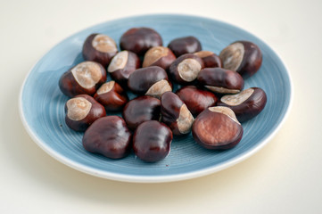 Group of fresh chestnuts on blue table, nuts one by one spread on light dish
