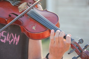 Musico Violinista