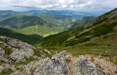 One of the last virgin forests in Europe are located in Romania. They are of a rare beauty, but the authorities don't do that much to protect them.