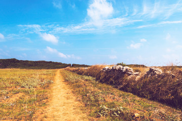 Coastal dune natural park on the coastline of Ostuni in Salento on the Adriatic sea