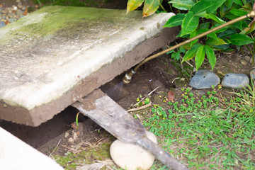 Treatment, Pest Control, Fumigation