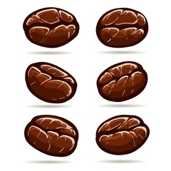 Colorful coffee beans. Drawing isolated coffee bean set vintage vector illustration, sketch dark robusta ingredients