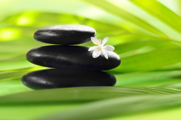 Zen stones with leaves and white flower. Spa concept.