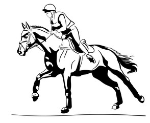 Equestrian sport, eventing. Rider cantering on a horse.