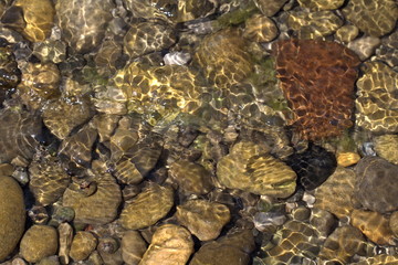 Round pebbles on the sea close up
