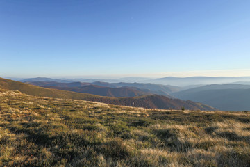 Obraz premium mountains, landscape, forest