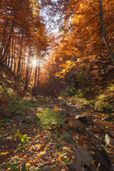 Fototapeta premium river, mountain stream,autumn