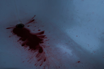 Bloody Bathroom2