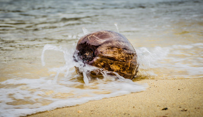 Coconut at a beach in Thailand with water approaching and splashing.