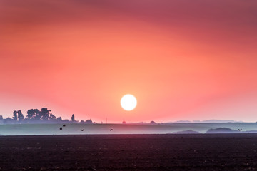 Rural landscape overlooking the plowed field during the sunrise_