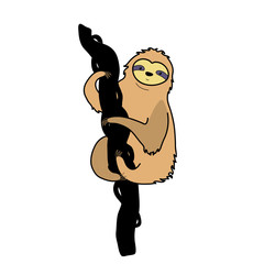 Vector illustration of cute character sloth