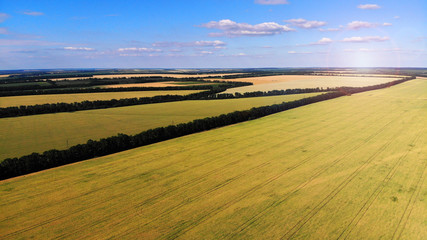 Fields aerial. Agricultural landscape view.