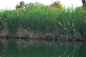 Nile River Near Aswan, Egypt