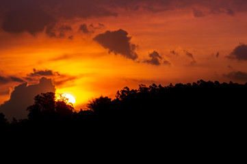 Obraz premium Sunset behind the silhouette of a forest