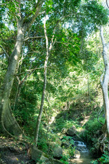 Fototapeta premium paisaje