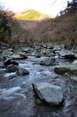 朝の早戸川上流