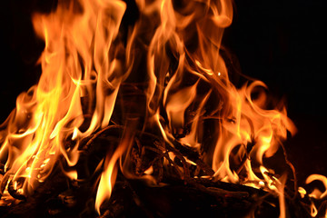 Bonfire at Summer night