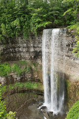 waterfall in forest