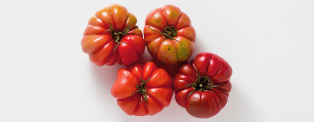 banner of brandywine tomato on a white background