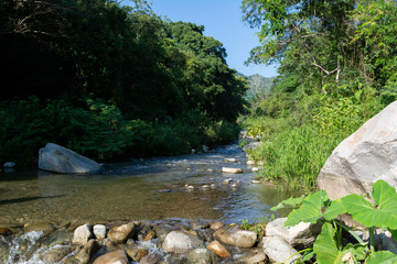 arroyo