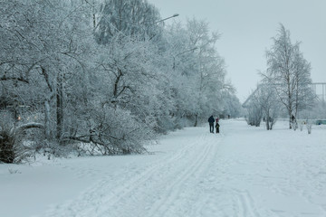 Russian winter. Arkhangelsk