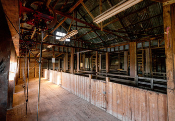 Old Sheep Shed