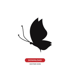 Butterfly icon vector