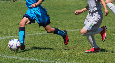 Fototapeta premium サッカー フットボール