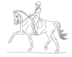 Fototapeta na wymiar Equestrian sport, advanced dressage test, expression trot 