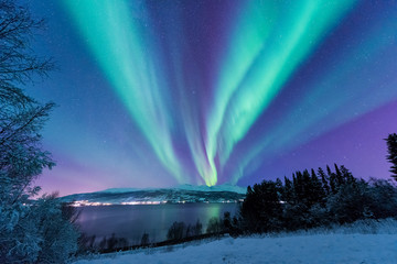 The polar arctic Northern lights aurora borealis sky star in Scandinavia Norway Tromso in the farm...