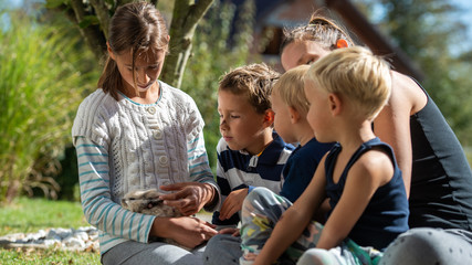 Fototapeta premium Four kids with their mum petting pet rabbit
