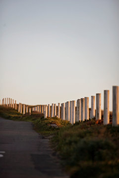 Wooden fence posts along a road near a beach at sunset.