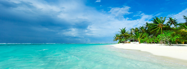 île tropicale des Maldives avec plage de sable blanc et mer