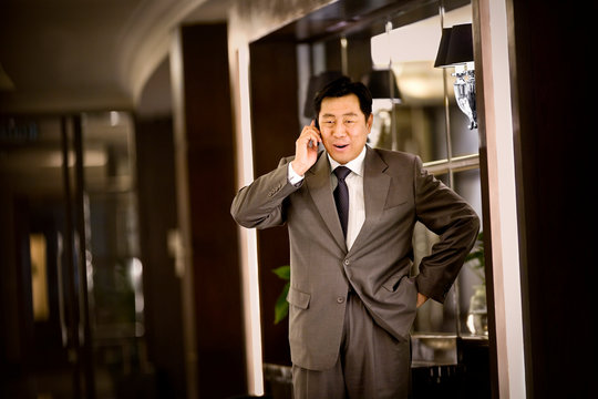 Mid-adult businessman talking on a cellphone.