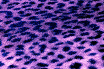 Colored Leopard Pattern 
