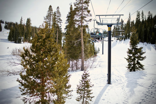 Chairlift stretching up a snowy ski field.
