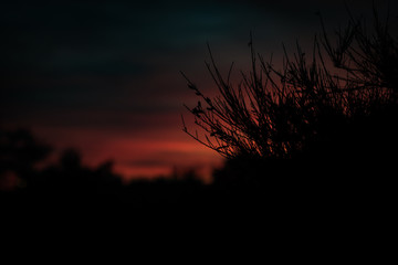 sunset in prague
