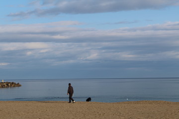 Fototapeta na wymiar an old man and a dog in the beach