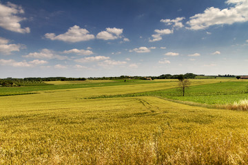 Panorami dei Colli Euganei, Veneto